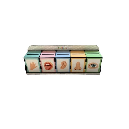 Jogo em MDF Para Categorizar Sentidos