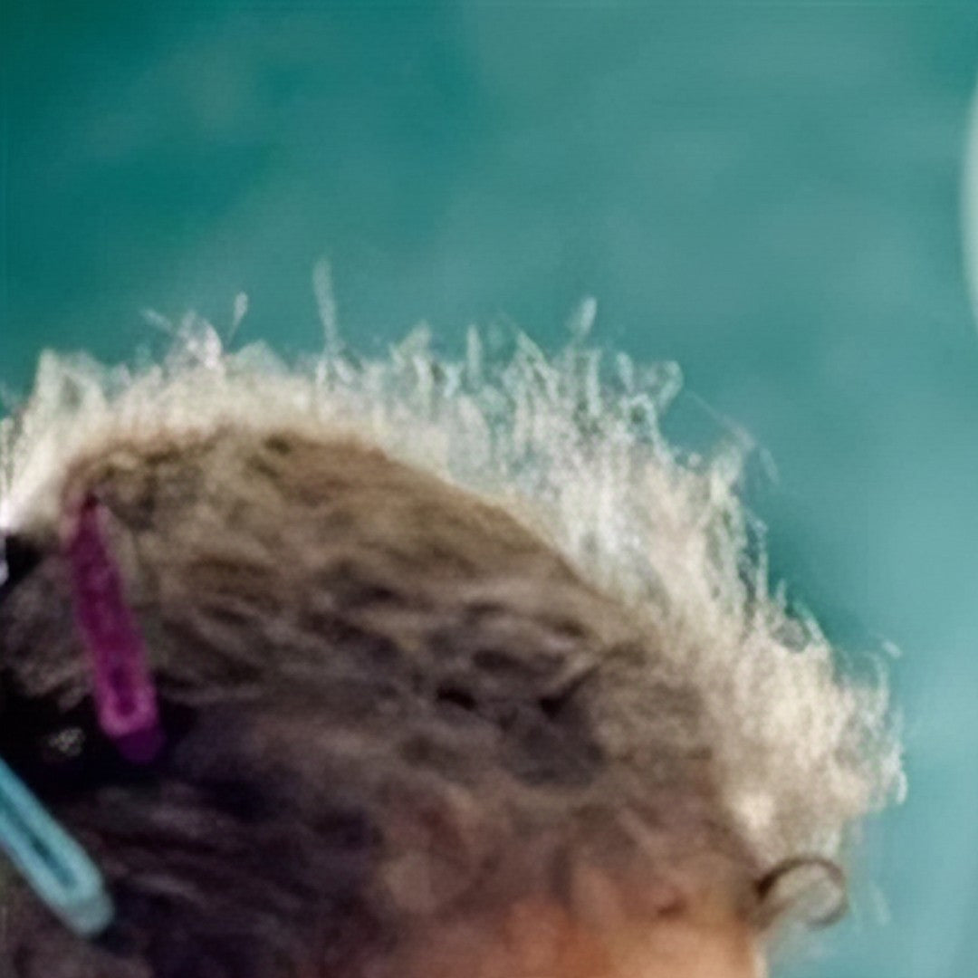 LEGO Disney Pixar - Casa de Up