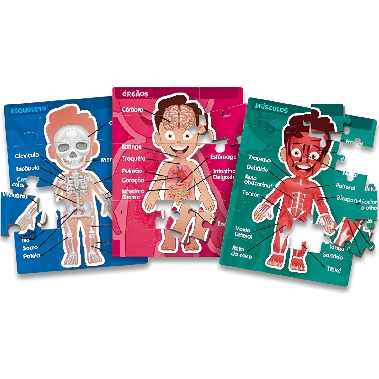 Kit 3 Quebra-Cabeça Corpo Humano Progressivo